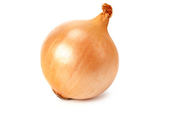 Napiform onion isolated on a white background
