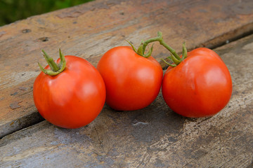 Three tomatoes on a wooden board