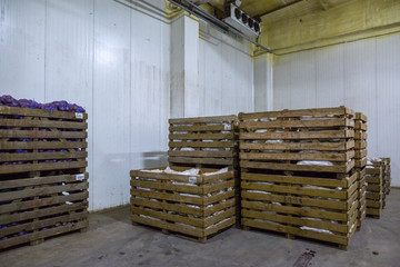 Crops storage. Crops warehouse. Dry cool storage. Stacked wooden crates with vegetables crops.