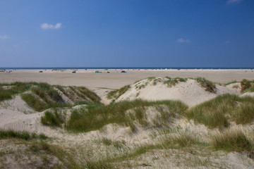 Fototapeta na wymiar sand dunes of Island Romo, western Denmark