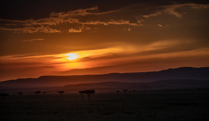 Sunset in Masai Mara, Kenya, Africa