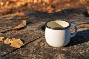 森の中でコーヒーを