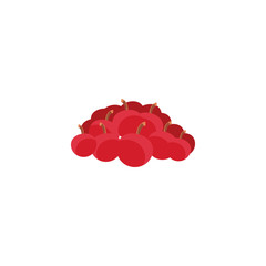 Isolated cherries fruit vector design