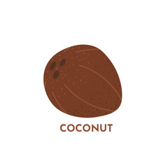 Coconut fruit vector tropical food illustration. Textured whole coco with isolated on white background. Vegan production.