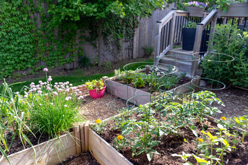 Fresh food from your own garden is part of a healthy lifestyle. Planted in spring, this raised...