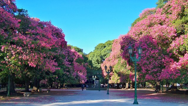Parques naturales verde morado
