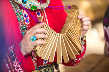 Male hands of a caucasian man, dressed in traditional attire, hold a wooden rattle dance instrument.