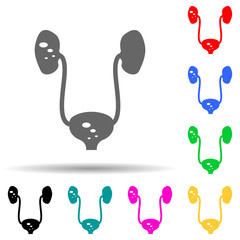 Kidney, stone multi color style icon. Simple glyph, flat vector of pain people icons for ui and ux, website or mobile application