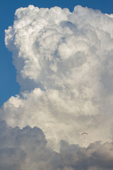 active and powerful white cumulonimbus cloud in deep blue sky,vertical mushroom cloud