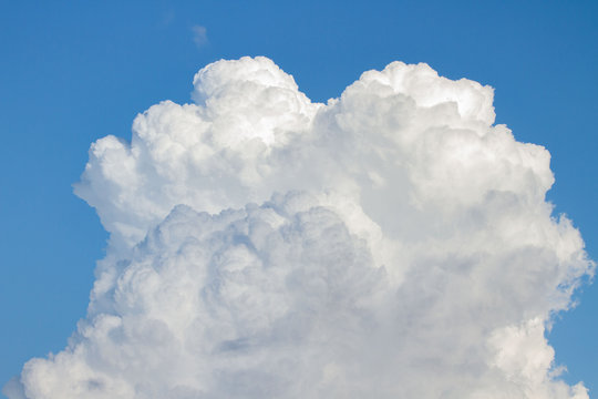 white cumulonimbus calvus cloud in deep blue sky,cumulo detail.vertical mushroom cloud
