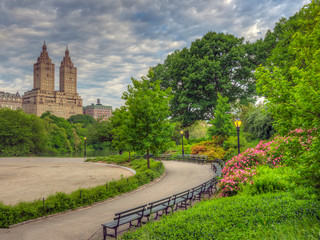 Central Park summer