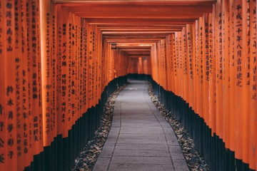 Fototapeta premium Fushimi Inari Taisha Shrine Senbontorii