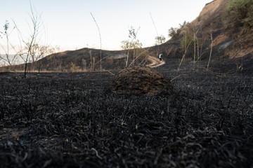 A mound of land surrounded by burnt grass with a hiking trail