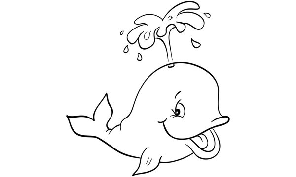 Ausmalbilder Einhorn Wal Coloring and Drawing Ausmalbilder Einhorn Wal Coloring and Drawing