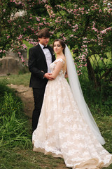 Handsome groom hug his beautiful bride. Newlyweds walking in the park. Brown hair woman in elegant wedding dress. Blossom tree