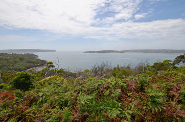 One of the most beautiful walks in Sydney Spit bridge to Manly beach coastal walk, Sydney, Australia