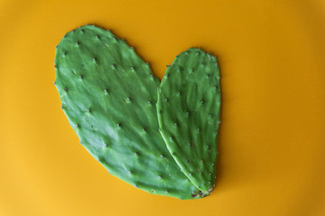 Opuntia cactus Nopal on yellow background © EVOGRAF.MX