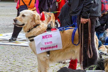 Demonstration für Tierrechte mit Hund