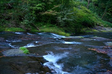 初秋の菊池渓谷の情景＠熊本