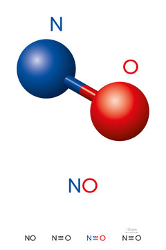 Nitric oxide, NO, molecule model and chemical formula. Nitrogen oxide, nitrogen monoxide or  Oxidonitrogen. Ball-and-stick model, geometric structure and structural formula. Illustration. Vector.