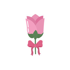 Isolated rose flower with bowtie vector design
