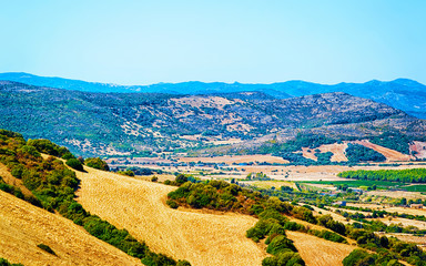 Rural landscape. Beautiful vineyards and agricultural Scenery of Perdaxius, Carbonia-Iglesias. Panorama in South Sardinia island of Italy. Sardegna in summer. Cagliari province. Mixed media.