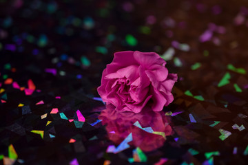 Pink Carnation Reflected in Prism Paper