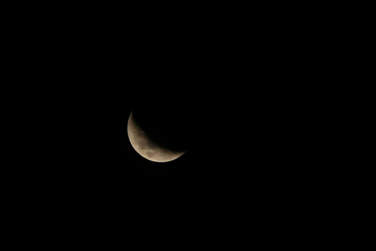 lua nova