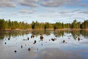 Fototapeta premium A lake in the forest