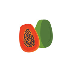 Isolated papaya fruit vector design