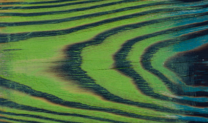 Fototapeta premium Texture of old tree with beautiful pattern