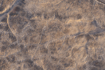 Concrete coating. Cracked stone background. Cement slab. The spotted skin of an ancient dinosaur.