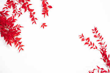 frame with red leaves on white background. Flat lay, top view