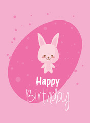 rabbit cartoon and happy birthday vector design