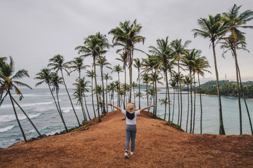Back view of young yourist woman visiting Coconut tree hill in Mirissa, Sri Lanka. Coconut Tree...