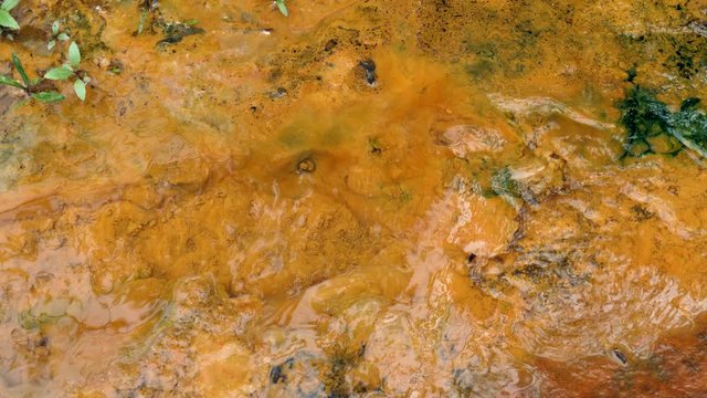 Iron bacteria growing in a stream. These microorganisms derive their energy by oxidizing dissolved ferrous iron. The resulting ferric oxide is insoluble, and appears as brown gelatinous slime.