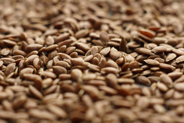 Raw organic flaxseeds. - 315522818