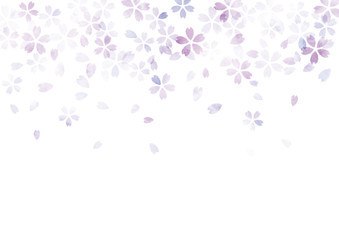 桜　水彩　テクスチャ　背景　紫