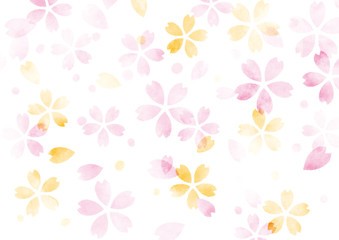 桜　水彩　テクスチャ　背景　ピンクとオレンジ