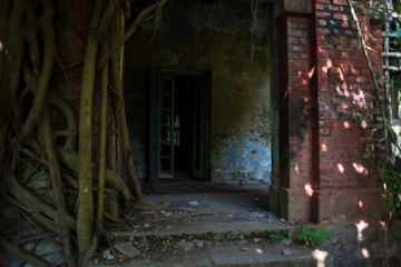 A wrecked entrance door of an abandoned house surrounded by tree roots. Indian house.