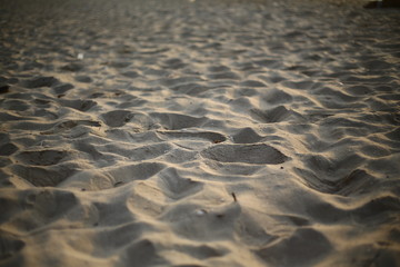 ripples in the sand