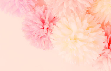 Beautiful abstract color orange purple and pink flowers on white background and white flower frame and pink leaves texture, light pink background, colorful banner happy valentine.