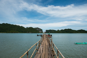 wooden pier on the lake