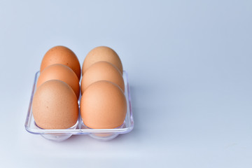 Close up of Chicken Eggs
