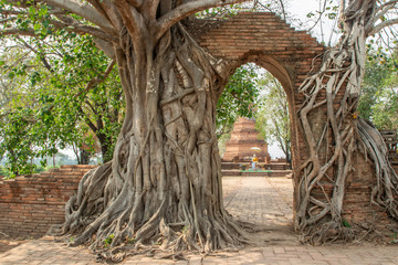 Fototapeta na wymiar Archaeological site in Phra Nakhon Si Ayutthaya Province