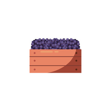 Isolated Grapes Fruit Inside Box Vector Design