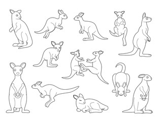 Kangaroo Black and White Coloring Cartoon Vector Illustration