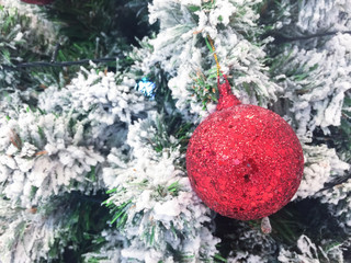 Closeup of red bauble hanging from a decorated Christmas tree