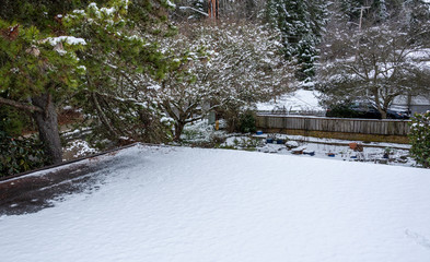 Flat carport roof covered in snow, trees and garden, residential neighborhood