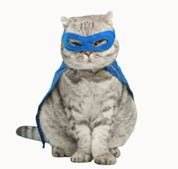 superhero cat, Scottish Whiskas with a blue cloak and mask. The concept of a superhero, super cat,...